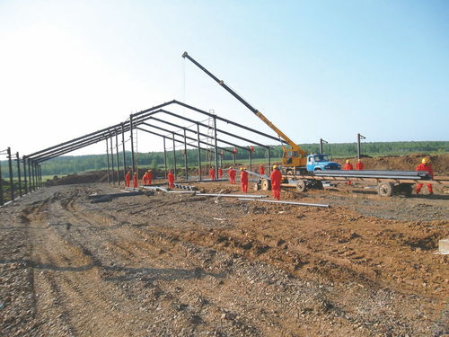 羊場(chǎng)施工建造